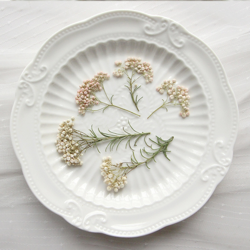 Dried Flower Bookmark - 12개, 자연산 수수꽃 가지, 압화 DIY
