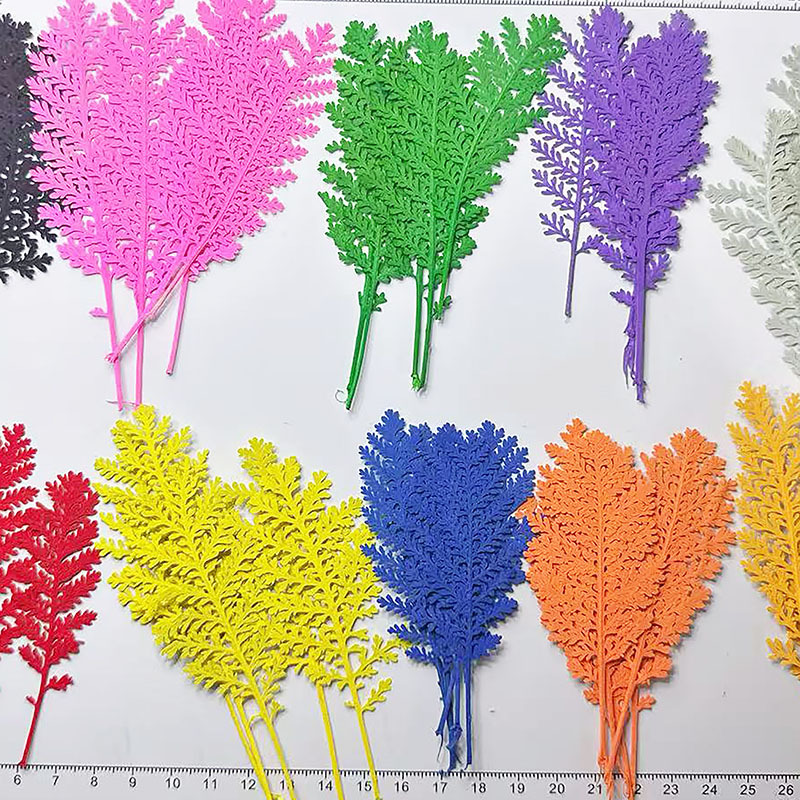 Dried Flower Bookmark - 100개 천연 은색 깃털 잎사귀, 색상으로