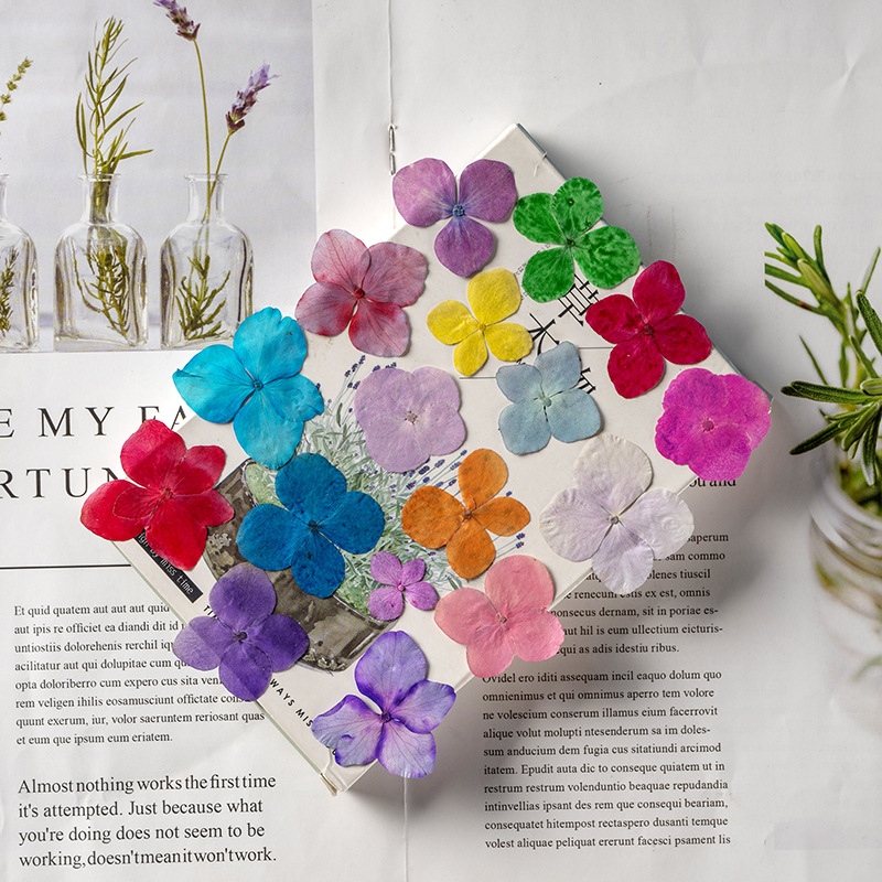 60개 안나 수국 색상흡수 꽃 에폭시 레진 북마크 사진 - Dried Flower Bookmark 리뷰 및 가격